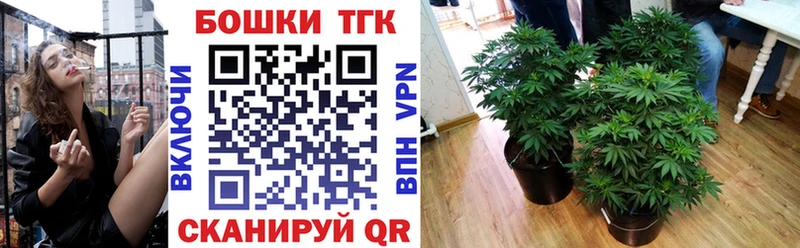 Конопля SATIVA & INDICA  OMG зеркало  Поворино 